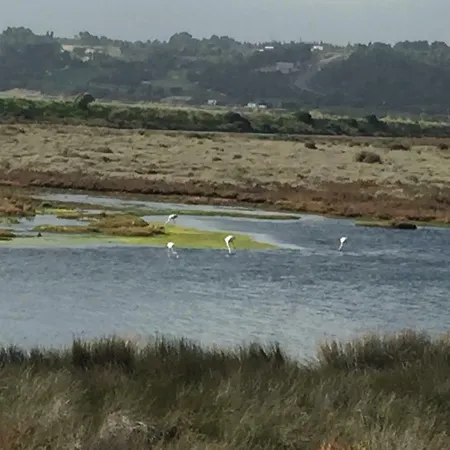 Πανσιόν Quinta Da Rocha Portimao