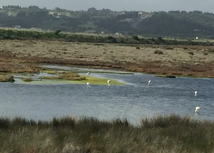 Gasthof Quinta Da Rocha Portimao