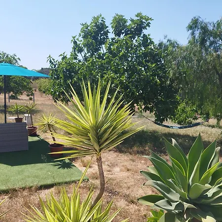 Quinta Da Rocha Portimao * Mexilhoeira Grande