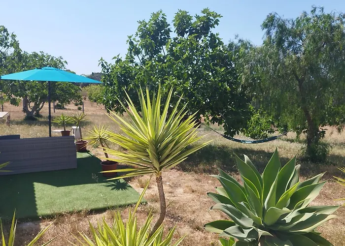 Quinta Da Rocha Portimao 3* Mexilhoeira Grande