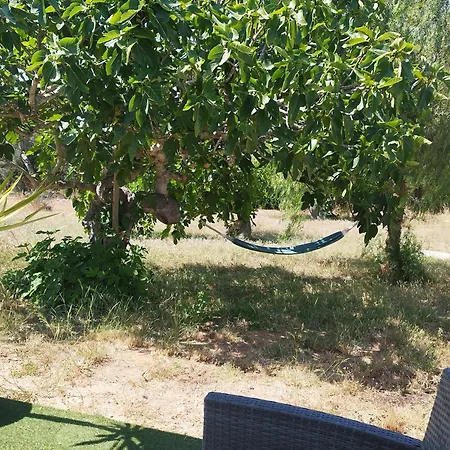 Maison d'hôtes Quinta Da Rocha Portimao 3*